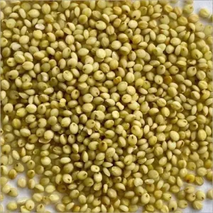 Millet (1 Tonne)