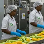 From Farm to Market: Unlocking Profitable Value Chains in Agribusiness